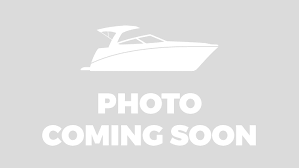 2017 Sea Ray SLWX-1